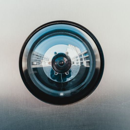 Eye Fish doorbell